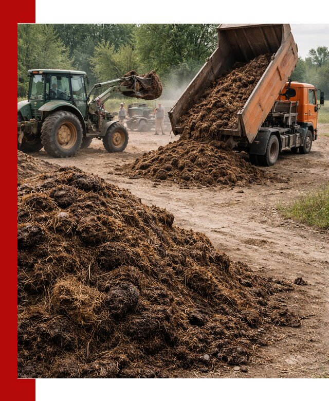 Доставка навоза самосвалами в Сосновоборске для сельхозпотребностей